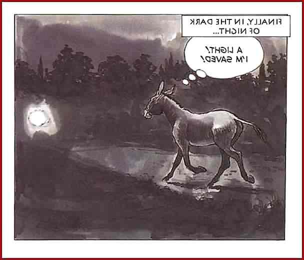 25P Erotic Comic Art 19 - The Golden Ass 3 of 3 