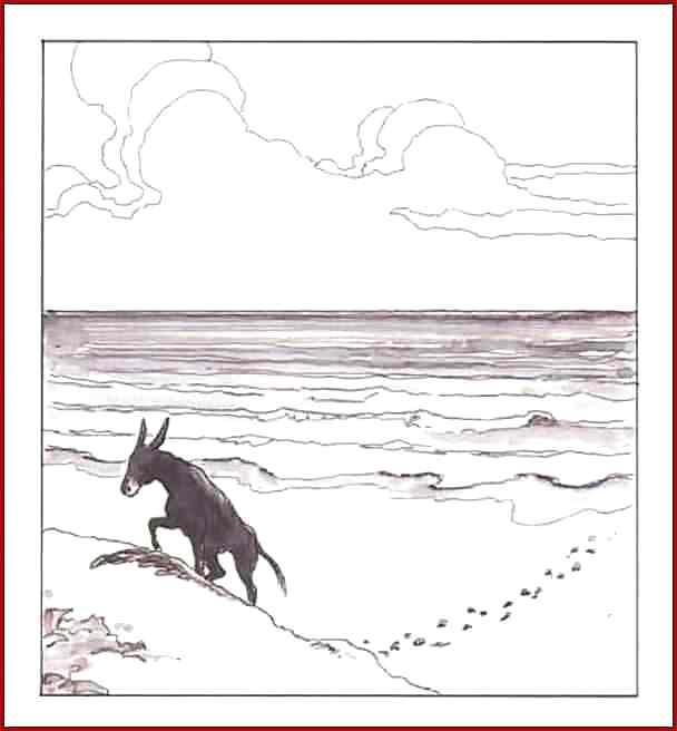 25P Erotic Comic Art 19 - The Golden Ass 3 of 3 