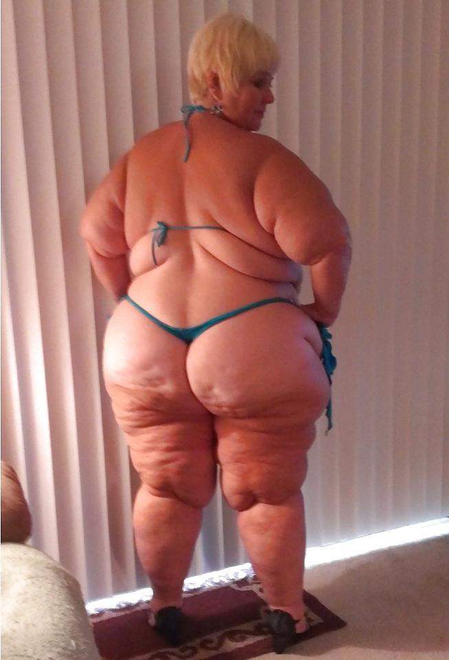 24P Fat
