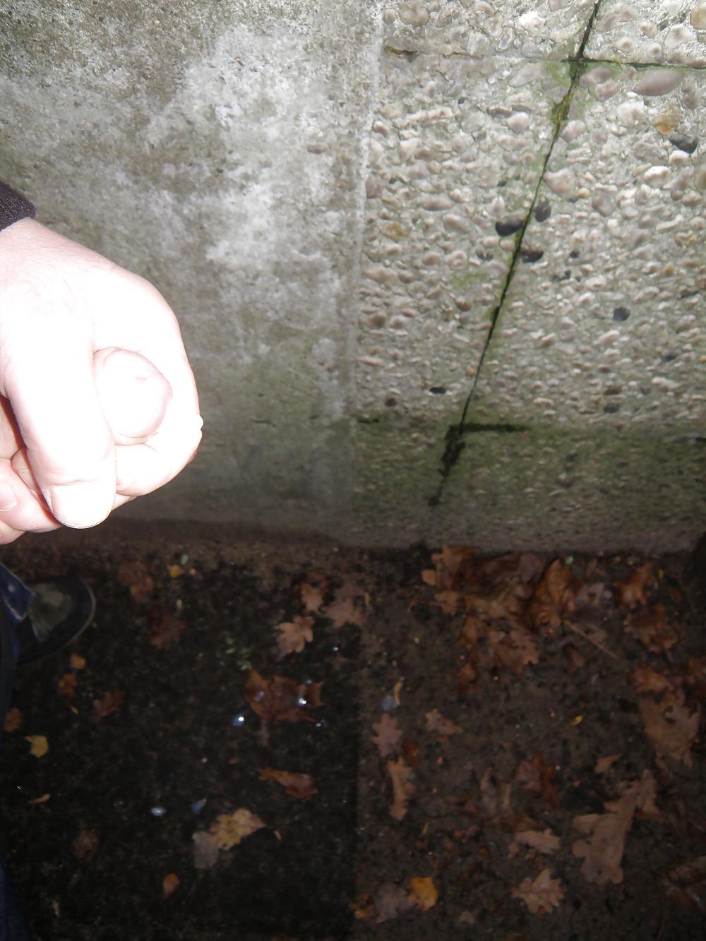 25P My Pics III