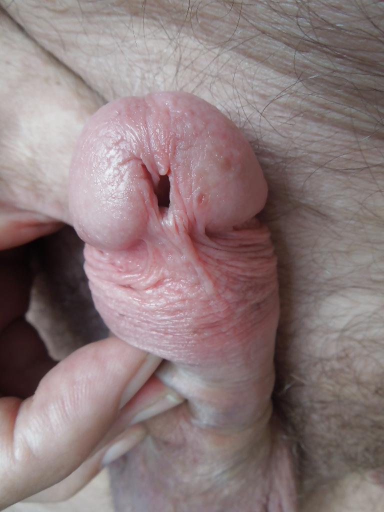 14P Urethra play paint brush