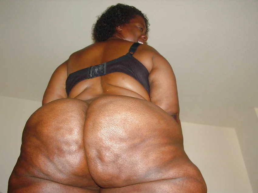 11P Beautiful Fat Ass