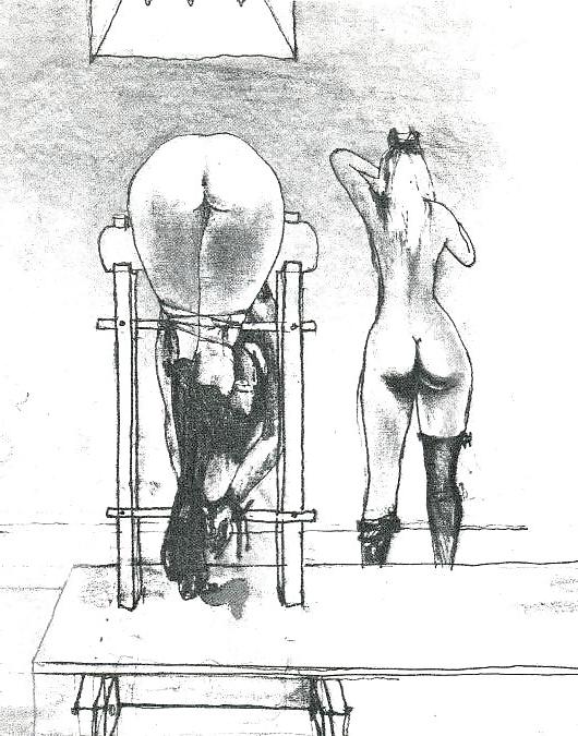 25P BDSM illustrations & cruel Art