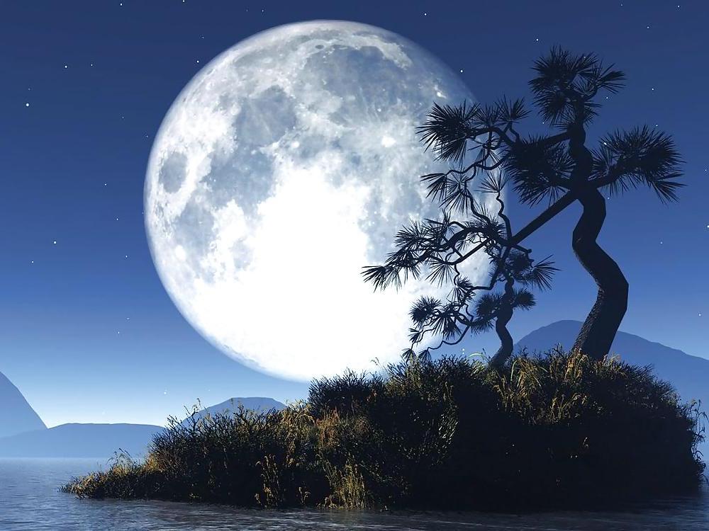 10P Fantasy Dreams