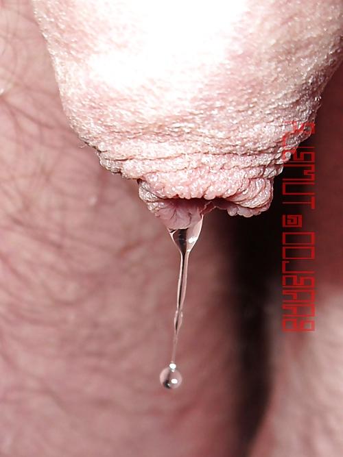25P Men Milk
