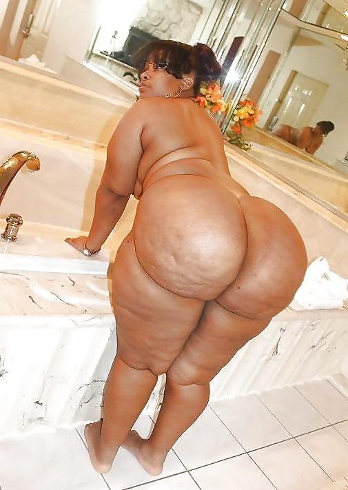 12P Queens of thick booty