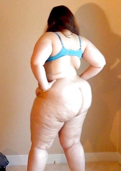 25P Sweet Fat Asses