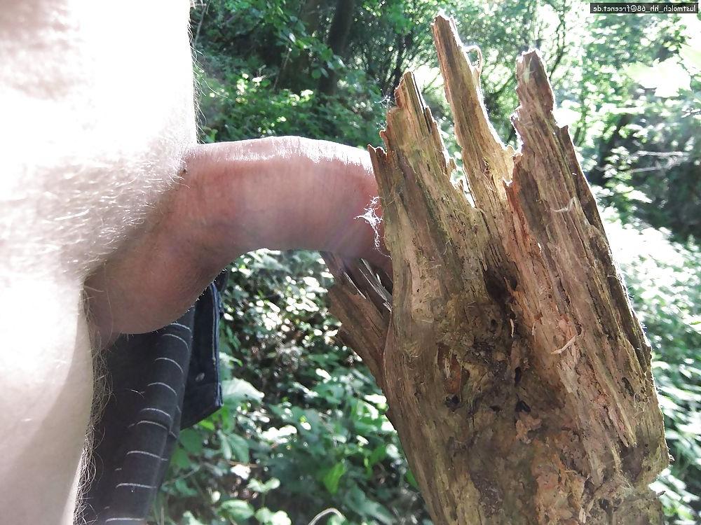 25P Outdoor - in the wood - im Wald