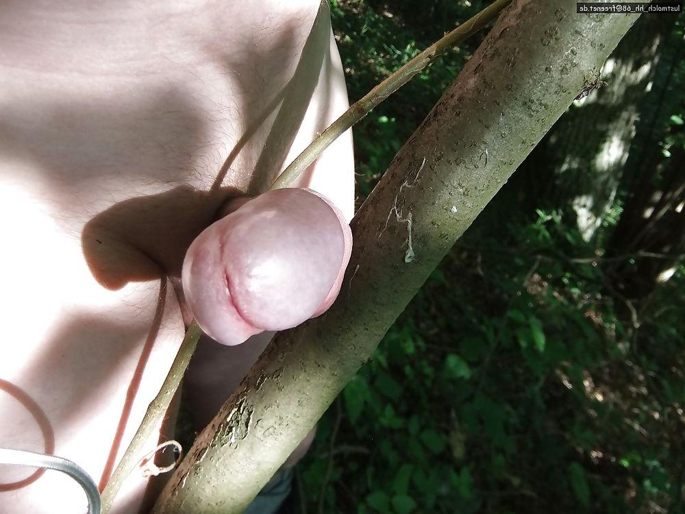 25P Outdoor - in the wood - im Wald