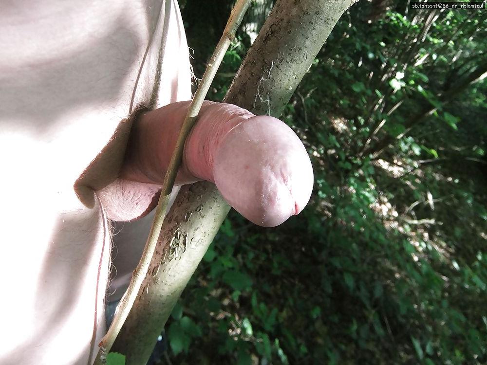 25P Outdoor - in the wood - im Wald
