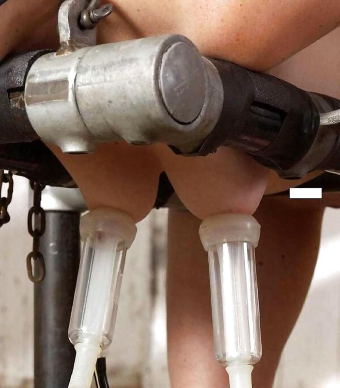 17P Milking