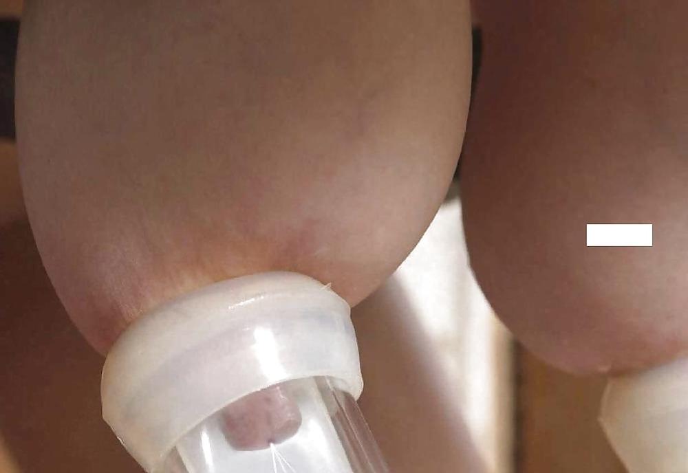 17P Milking