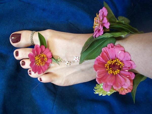 10P Lady Holly's Flowered Feet Of Fantasy