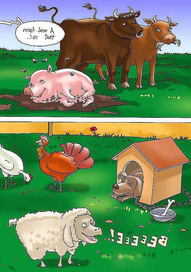 14P On the farm