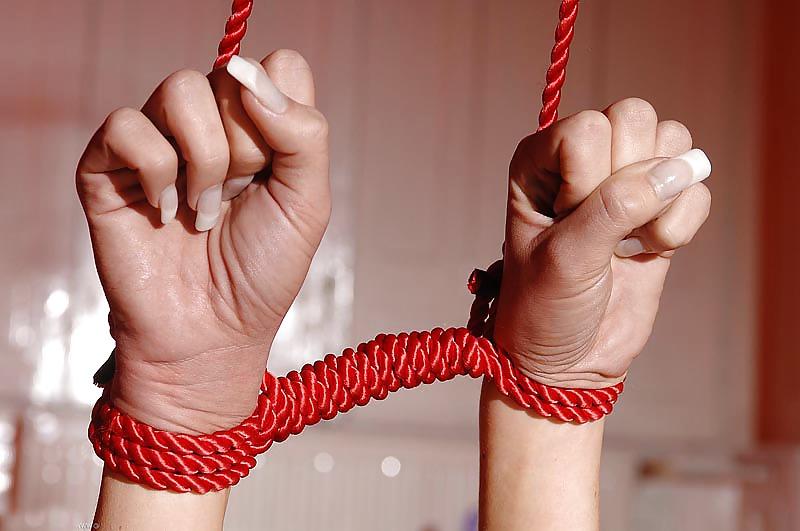16P Tied Up To The Hanger Rack