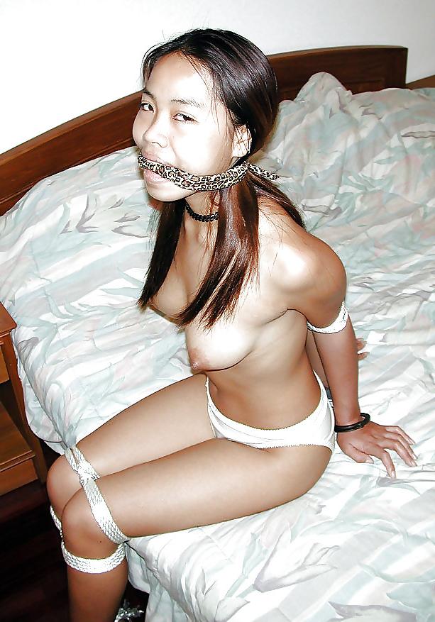 25P How to play with your Asian housepet