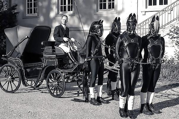25P Pony Play Fetish