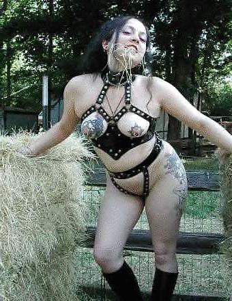 25P Pony Girl Play
