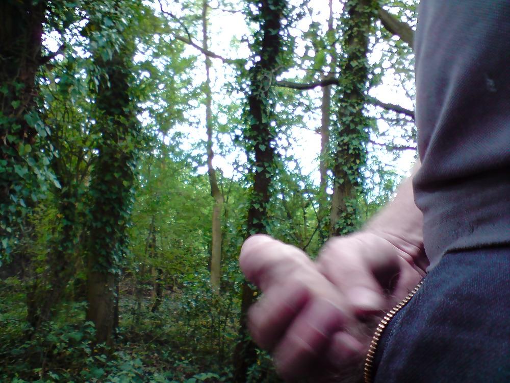 6P Me wanking in the woods