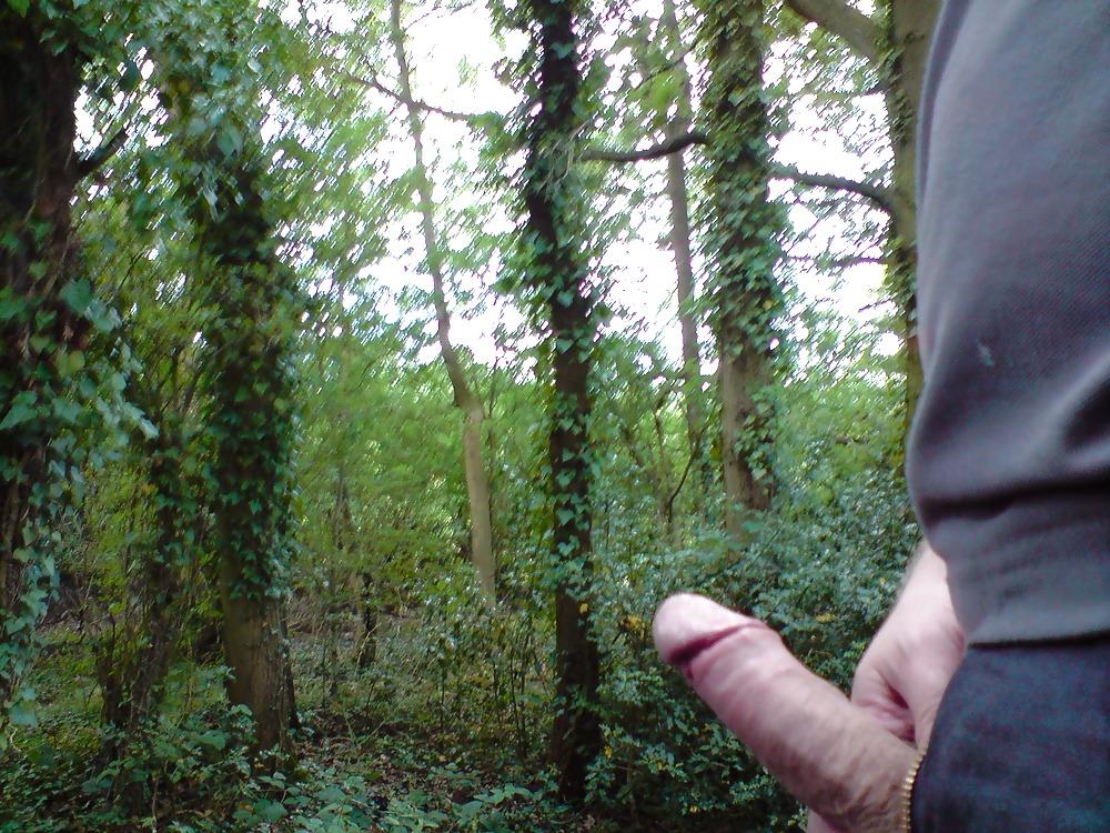 6P Me wanking in the woods