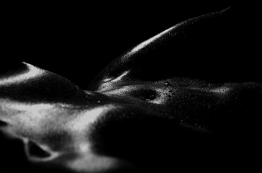 25P Arty nudes