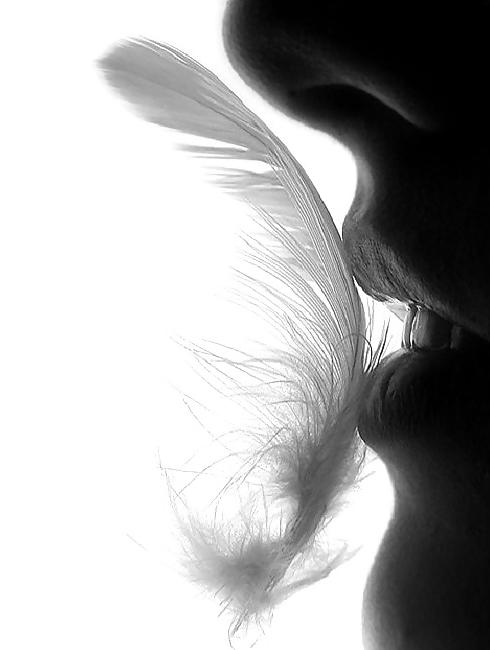 25P Artistic & Erotic bw pics