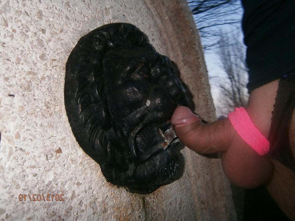 11P Public exhibition sexe outdoor cock