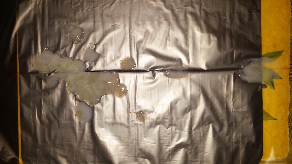 25P Big Heavy Thick Cum Splash At Christmas Eve!