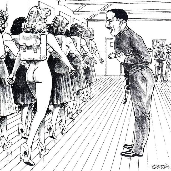 25P Selection of Erotic Art and Cartoons 2
