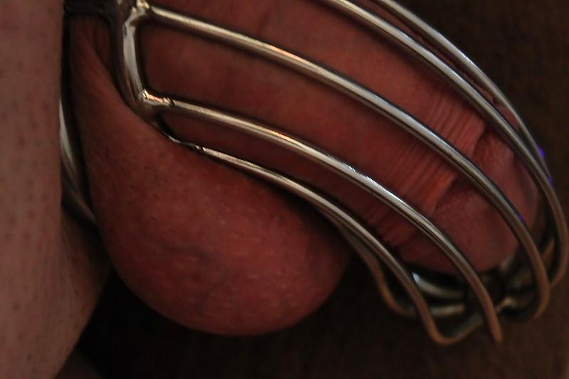 25P Mistress Steffi's Order