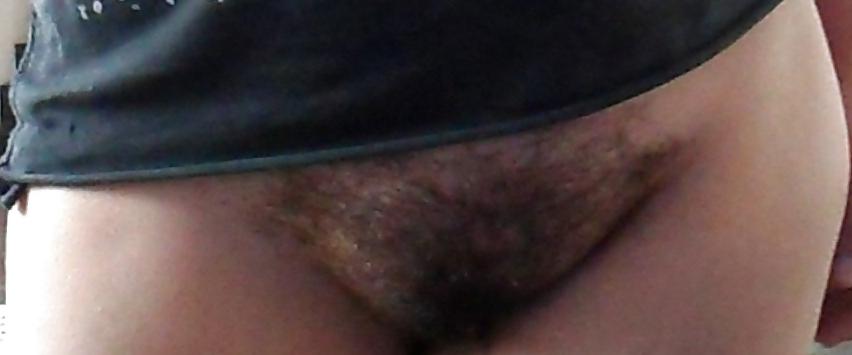 8P Alicia hairy pussy fat