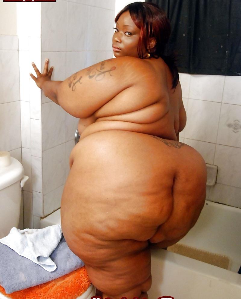 12P Fat bellies and ass