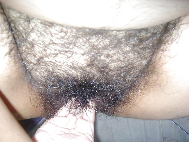 15P Hairy fat pussy