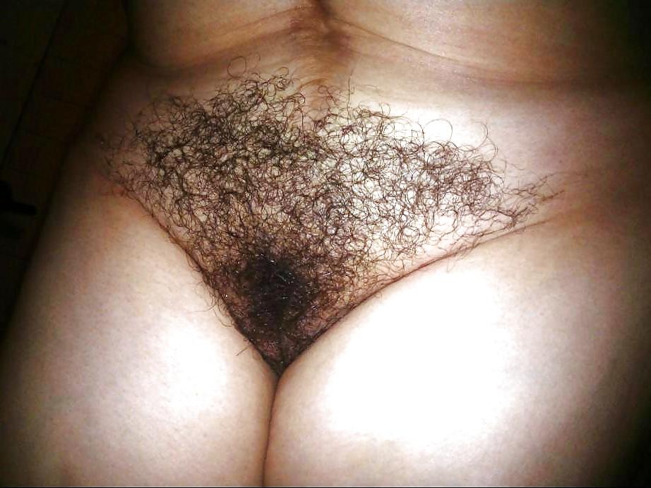 15P Hairy fat pussy