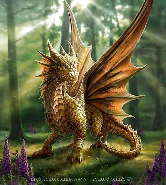 15P Fantasy, Beauty, and Some Dragons