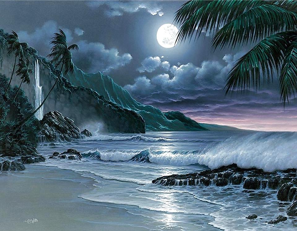 15P Fantasy, Beauty, and Some Dragons