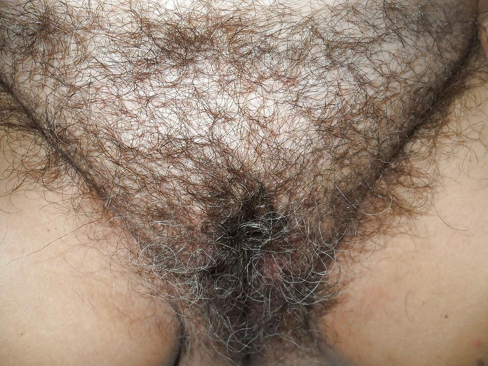 25P Curvy Hairy Slideshow