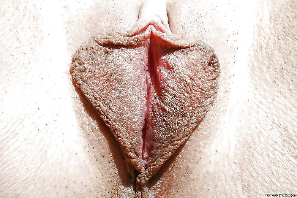 25P Private exposure tits ass and pussy mixed #73