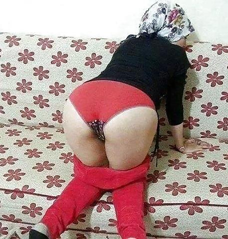 10P Arabian asses ..