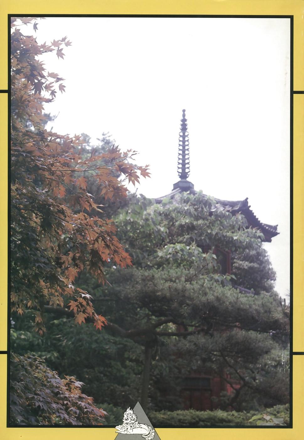 25P Japan Premium Graphix 00108