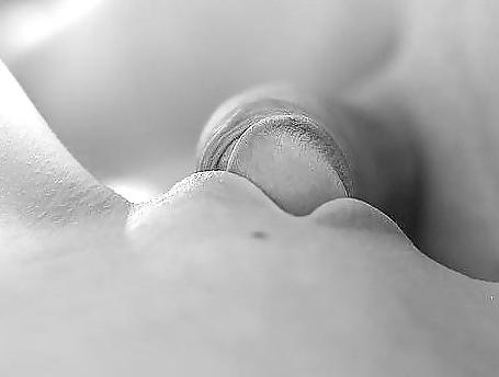 25P Erotic Art of licking a Cock - Session 1