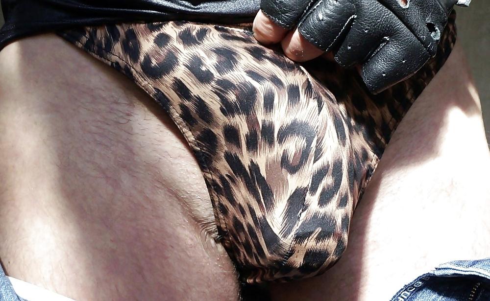 17P Men String Thong Tiger