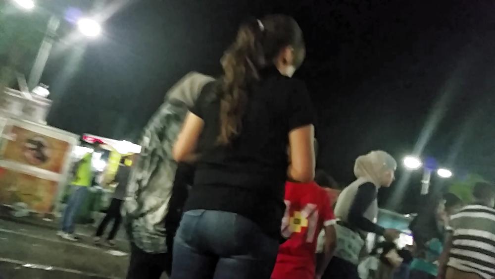 22P Arabian asses