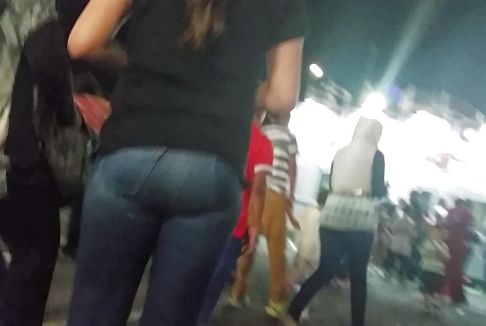 22P Arabian asses