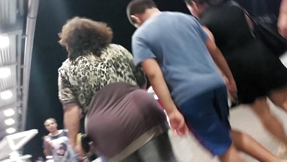 22P Arabian asses