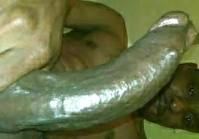 25P More big black cock bbc