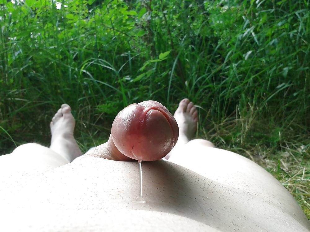 25P Geil im Wald