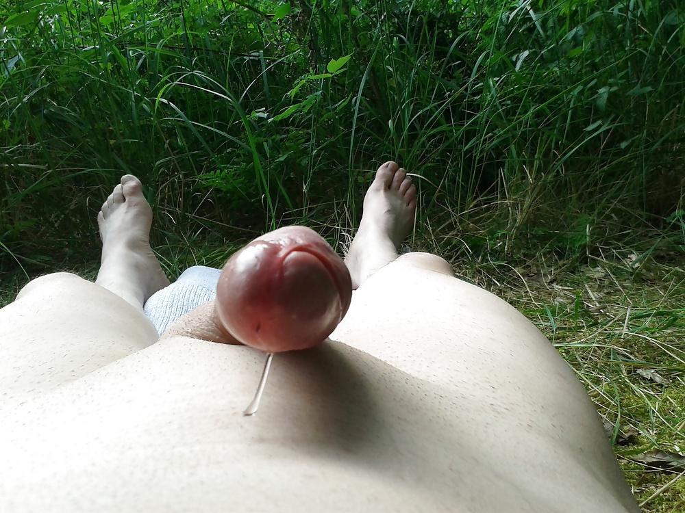 25P Geil im Wald