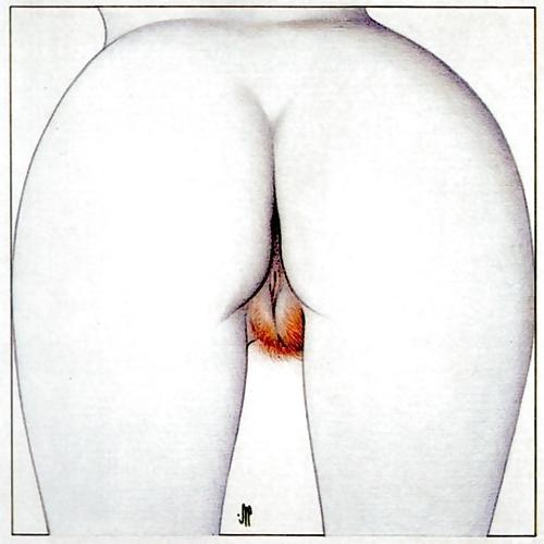 25P Erotic Art -  Drawings - Skizzen - Sketches - Paintings