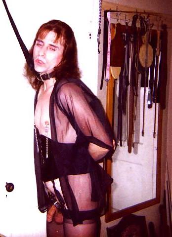20P Sexy cd sluts all tied up